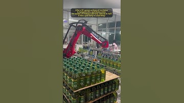 Palletizing robot #machine #robot #factory #automobile #vietnam #robot #industrial #palletizing