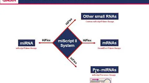 Meeting the challenges of miRNA research  an intro...