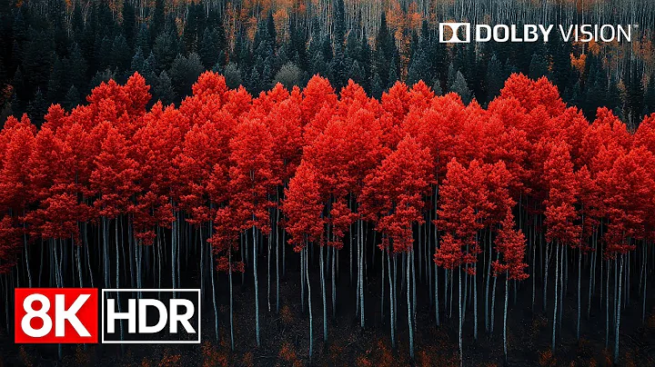 Colors of Earth in 8K HDR 120fps Dolby Vision – Nature’s Full Spectrum
