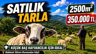 Küçükbaş Hayvancılığa Uygun Satılık Tarla 2500 m2 350.000 TL