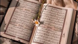 نشيد اقرأ ليسكت مطرب مترنح |صفاء|