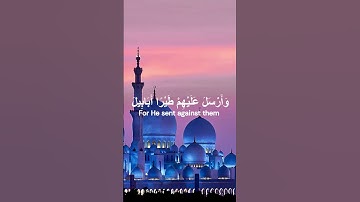 سورة الفيل, تلاوة الإمام  مشاري العفاسي💗El Fil, Mishari Alfasy
