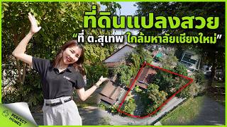 ขายที่ดินเชียงใหม่ มองหาที่ดินสร้างบ้าน? เดินทางสะดวกสบาย ในเมือง ทำเลดี โซนสุเทพ #ที่ดินเชียงใหม่
