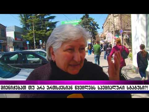 მიენიჭებათ თუ არა ერთსქესიან წყვილებს სპეციალური სტატუსი?!