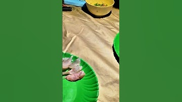 🐟 Phi Lê Cá Suối Làm Sashimi Tươi Ngon – Ẩm Thực Bên Bờ Suối | Chuyến Đi Câu Cá Trong Rừng