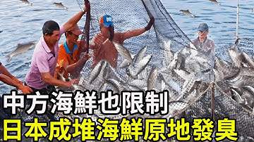 大事不妙，中方海鮮也限制，日本成堆海鮮原地發臭！