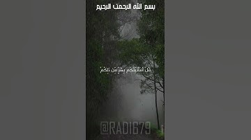 تلاوة خاشعة ومميزة بصوت الشيخ ماهر المعيقلي  #اكسبلور #قرآن #quran   #ماهر_المعيقلي  #تلاوة_خاشعة