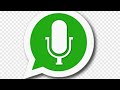 كيفية عمل حالة صوت فقط على الواتساب WhatsApp Audio Status 