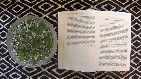 ACIM Chapter 2, Part 1: The Origins of Separation | A Course In Miracles Text Audio