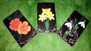 Download Lagu TIN VUI QUAN TRỌNG SẮP ĐẾN \ MP3