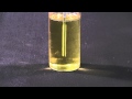 Biodiesel Cloud Point