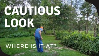 A SKUNK is NOT our Favorite Homestead Animal!!!