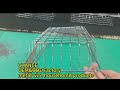 Factory packaging line: high Quality customize wire baskets in chrome plating ,warrenty for 3 years.