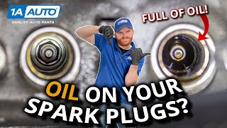 Oil on Spark Plugs? Diagnose and Fix Spark Plug Tube Seals!