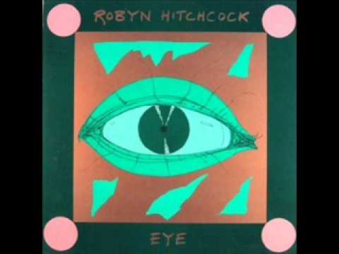 Robyn Hitchcock - Flesh cartoons