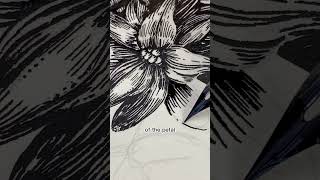 Botanical Ink Sketch Process