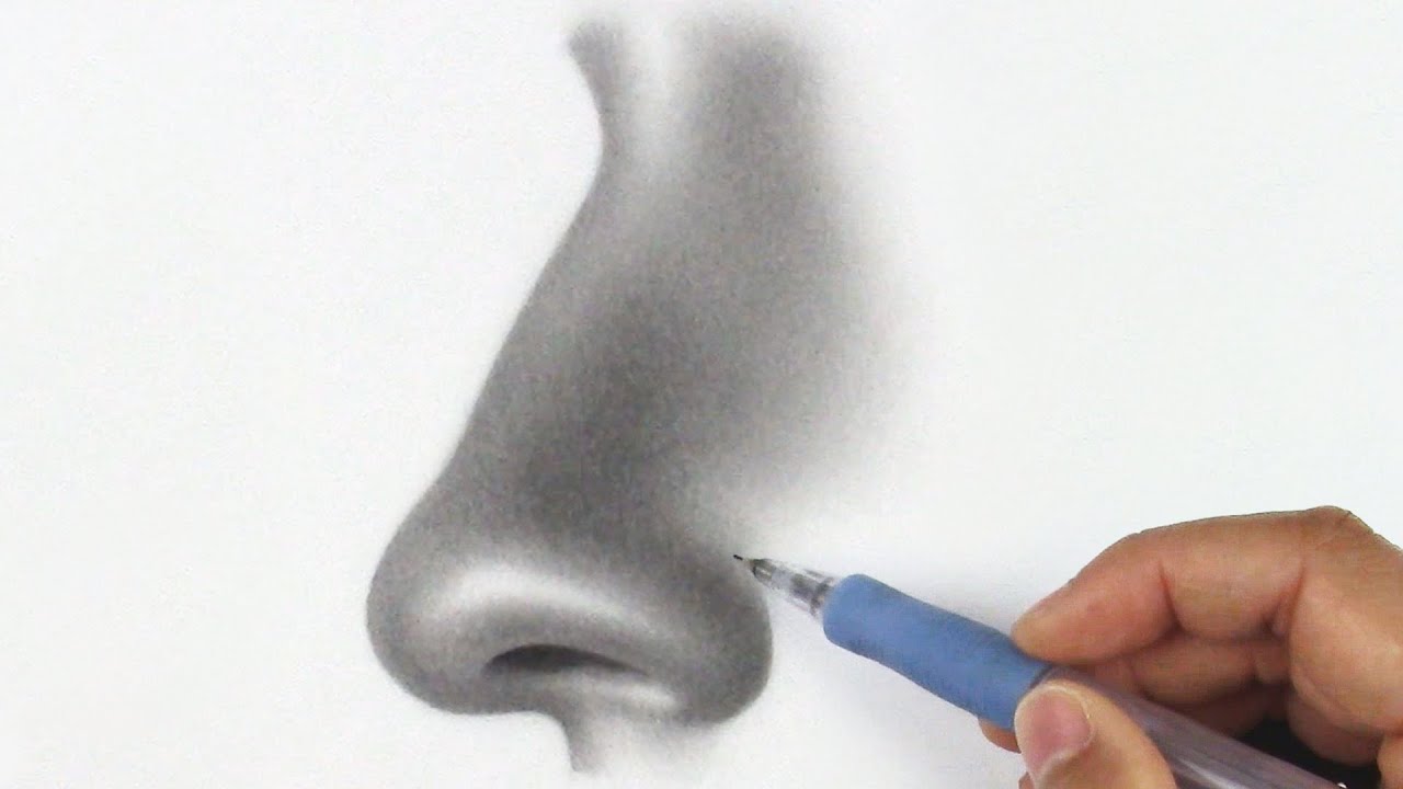 How To Draw A Nose 7 Simple Steps Rapidfireart