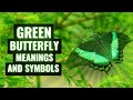 Meaning of Butterfly – What it means when you see a Green Butterfly often