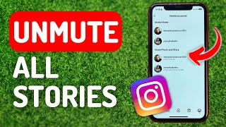 How to Unmute All Stories on Instagram