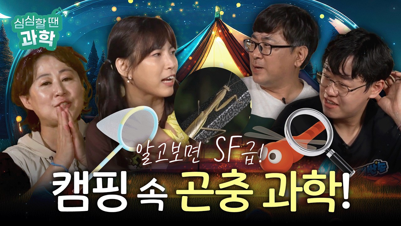 📢📢신비한 곤충의 세계! 이거알면 곤충이랑 사랑에 빠질 수 밖에..! |심심할 땐 과학 시즌4 EP.03