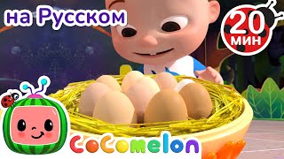 Сколько Вылупилось Цыплят?🟡 | Cocomelon На Русском — Детские Песенки