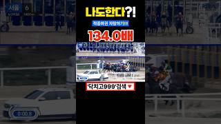 구독자적중 마권 자랑하기1. 축하 드립니다.#경마#경마예상#경마초보#쓰나미경마#별대박경마#클파경마#이종운경마#마테크경마#불세출경마#부산짱구#예그맨경마#경마아나#오세현경마#마테크경마