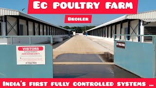 Ec Poultry Farm