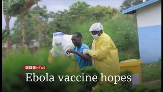 UK scientists developing Ebola vaccine that could be ready for trials in months (UK/Global)