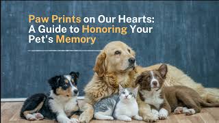 Episode 6: Paw Prints on Our Hearts: A Guide to Honoring Your Pet's Memory