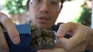 SMOKING GRAND DADDY PURPLE!