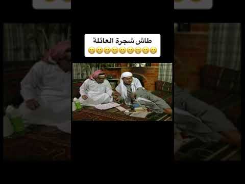 طاش ما طاش شجرة العائلة