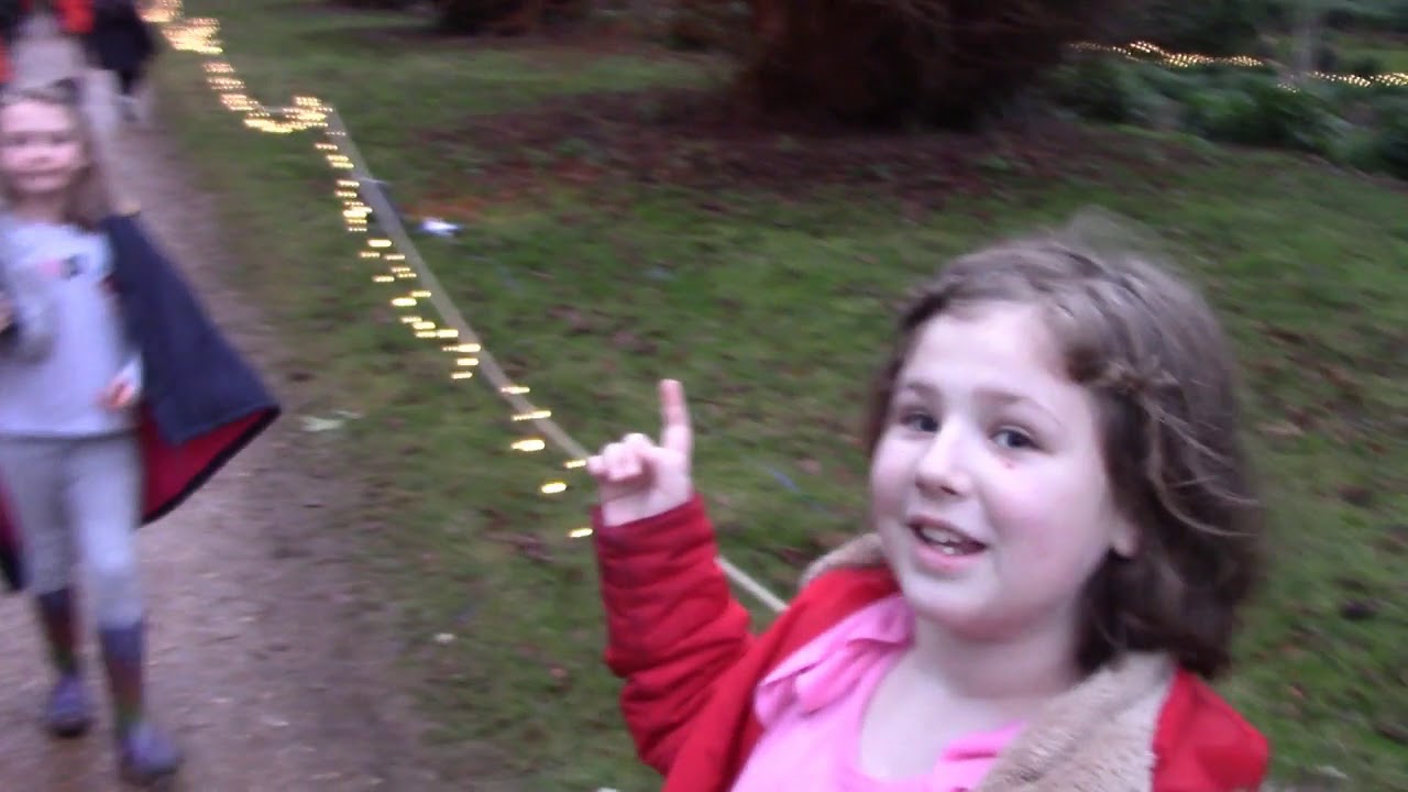Kingston Lacy Christmas Lights YouTube