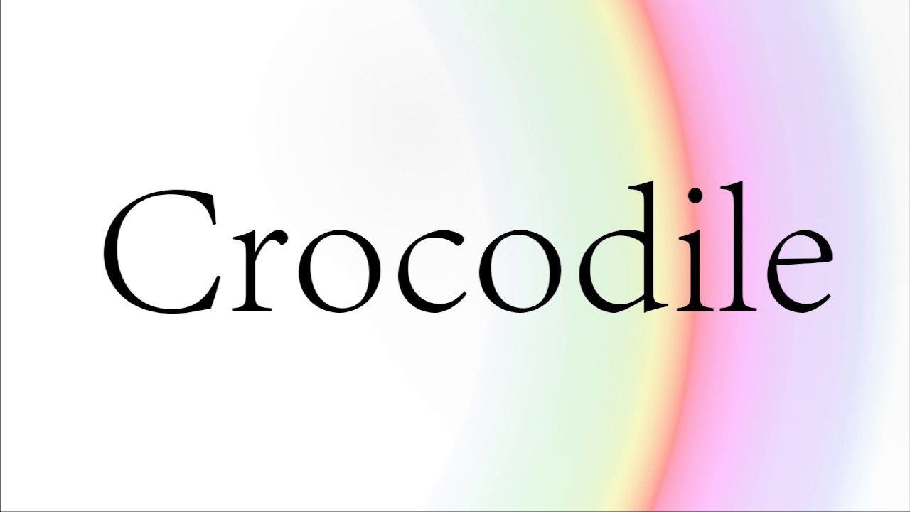 How to Pronounce Crocodile | How to Say Crocodile