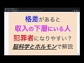 ヒエラルキーの下層にいる人が犯罪者になりやすい理由と改善方法を解説！