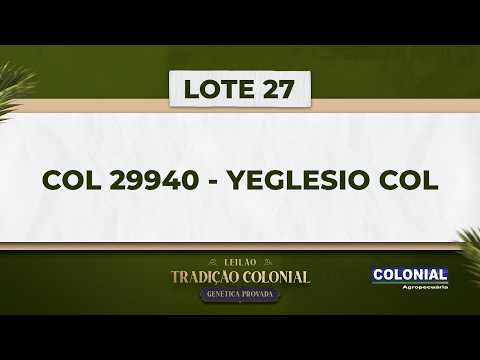 LOTE 27   COL 29940   YEGLESIO COL