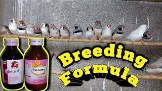 Breeding Formula for Birds | Best breeding formula for birds screenshot 4