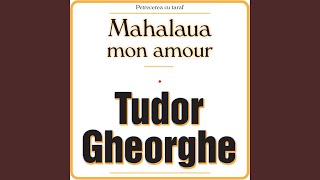 Video thumbnail of "Tudor Gheorghe - STINGE, DOAMNE, STELELE – SA TE-AJUNGA DORUL MEU"