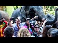 Please become An animal Protector