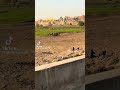 بيضربوا آيس في الشارع بيضربوا آيس في الشارع
