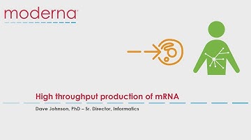 High Throughput Production of mRNA