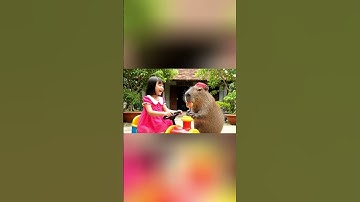 Bé lái xe tàu hỏa cùng Capy #capybara