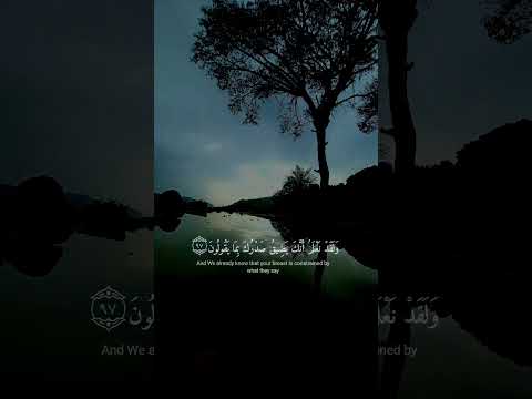 تدري ان في هذي الايه العلاج الطبيعي والحقيقي للضيق اكسبلور  المصحف لايك  