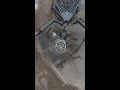 SpaceX Starship's 33-Engine Static Fire Test - Drone View - February 2023 #Starship