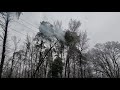 Icy tree arcing power lines