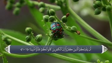 نماز - آیه 101 سوره نساء