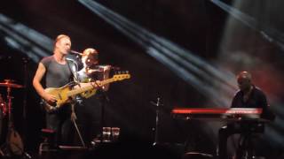 View Sting Live Performance at Summer Arena Assago - Every Breath You Take and More