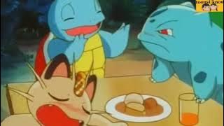 Squirtle and Bulbasaur Cute Moments