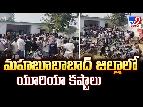 మహబూబాబాద్ జిల్లాలో యూరియా కష్టాలు | Urea Crisis - TV9 - TV9