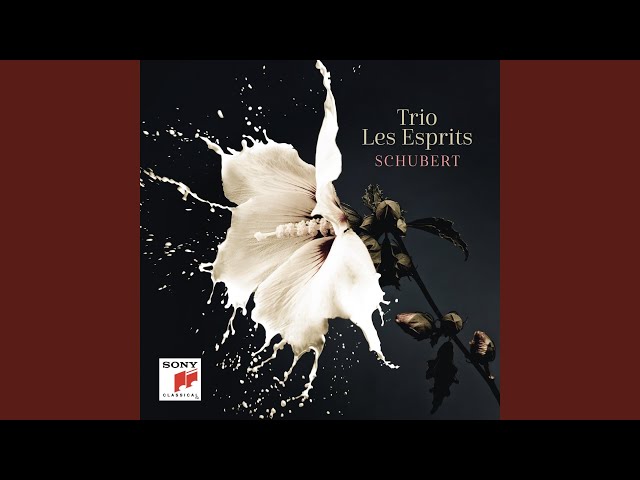 Beethoven - Trio avec piano n°6: 2è mvt : A.Laloum / Mi-Sa Yang / V.Julien-Laferrière