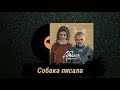 Джарахов & Rozalia - Собака писала [Премьера Трека 2020]